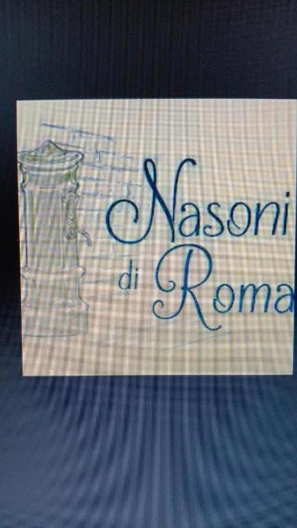 Nasoni Di Roma Aparthotel Exterior photo